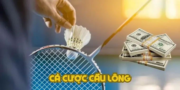 Hướng Dẫn Cách Chơi Cá Cược Cầu Lông Tại Nhà Cái ABC8 Uy Tín
